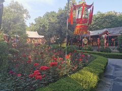 -白家大院·王府宫廷菜(苏州街店)