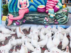 -海合安武汉极地海洋公园