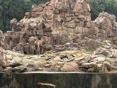-合肥野生动物园