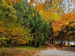 -元大都城垣遗址公园