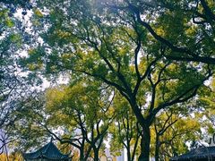 -月湖风景区