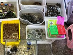 -双季花艺园艺市场(浦东店)