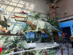 -国家自然博物馆