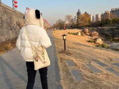 -洛阳市隋唐城遗址植物园
