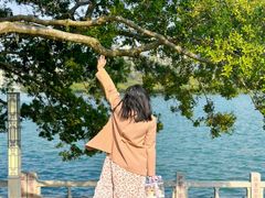 -可丽可丽·生日蛋糕·下午茶(厦门鹭港店)