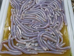 -海儀美食楼(湾仔海鲜街店)