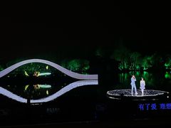 -印象西湖·最忆是杭州实景演出