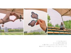 -金陵中学(河西分校)