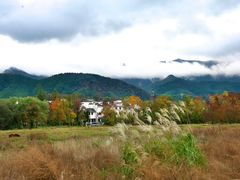 -塔川景区