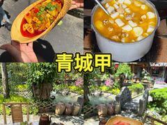 -青城甲(青城山店)