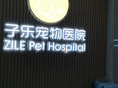 -子乐宠物医院