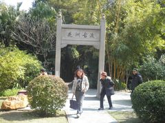 -晓港公园
