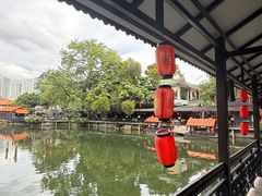 -侨美·唐荔园·40年地道粤菜