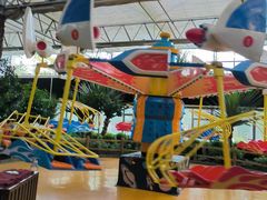 -南宫五洲植物乐园