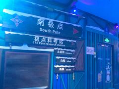 -海合安青岛极地海洋公园