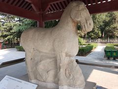 -茂陵博物馆
