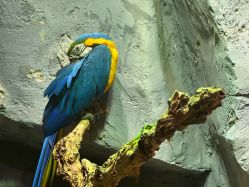 -Zoolung Zoolung动物主题公园(海信广场店)