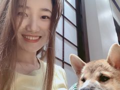 -逗柴咖啡屋·狗咖猫咖宠物桌游