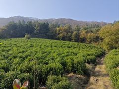 -敬亭山风景名胜区