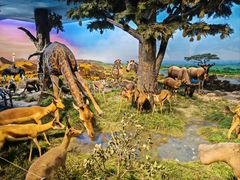 -国家自然博物馆