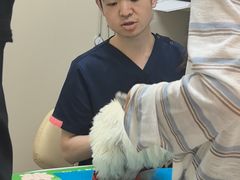 -芭比堂动物医院·CT·微创中心(新顺分院)