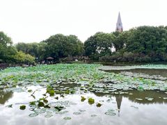 -白鹭园
