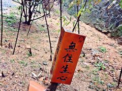 径山万寿禅寺-径山寺