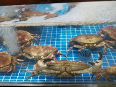 水产区-七鲜超市(通州ONE店)