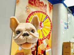 -CORNER CONE GELATO酷矿手作霜淇淋(南头古城店)