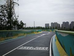 -白鹭湾湿地公园