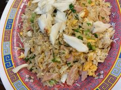 -大中鱼翅 Taitong Shark Fin