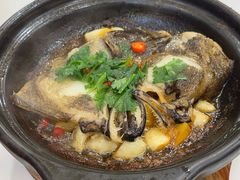 -老楼羊蝎子·铜锅涮肉•20年专注羊肉(惊驾路店)