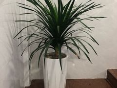 -南翔小笼館(嘉定店)