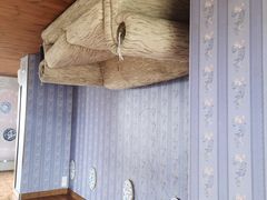 -金山农民画村-枫泾波兰倒置屋