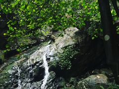 -天门沟九州驿站树上汤泉