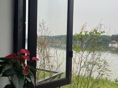 -海珠湖公园