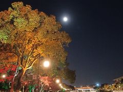 -香雪海饭店中餐厅(人民桥店)