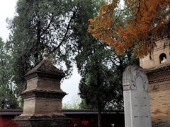 -兴教寺
