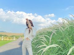 -光明小镇欢乐田园