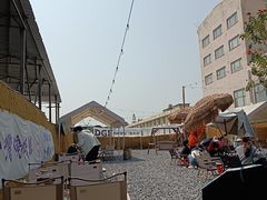 -DGE季风钓虾营地·团建·聚会