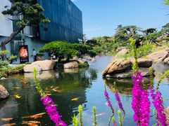 -罗红摄影艺术馆