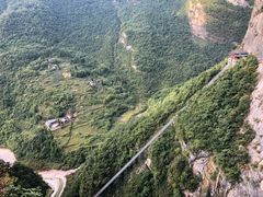-鹿院坪生态旅游景区