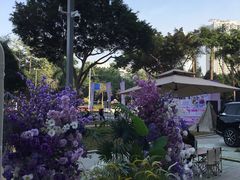 -老陈婆手工面庄