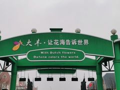 -荷兰花海