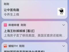 -约翰·菲茨杰拉德·肯尼迪国际机场