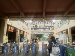 -苏州乐园森林水世界