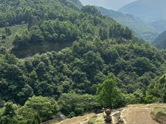 -石台牯牛降景区