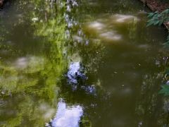 -同里国家湿地公园
