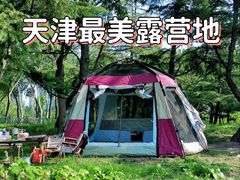 -泰丰公园