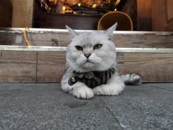 -青木造型HAIR·あおき髪を刈る潮人店